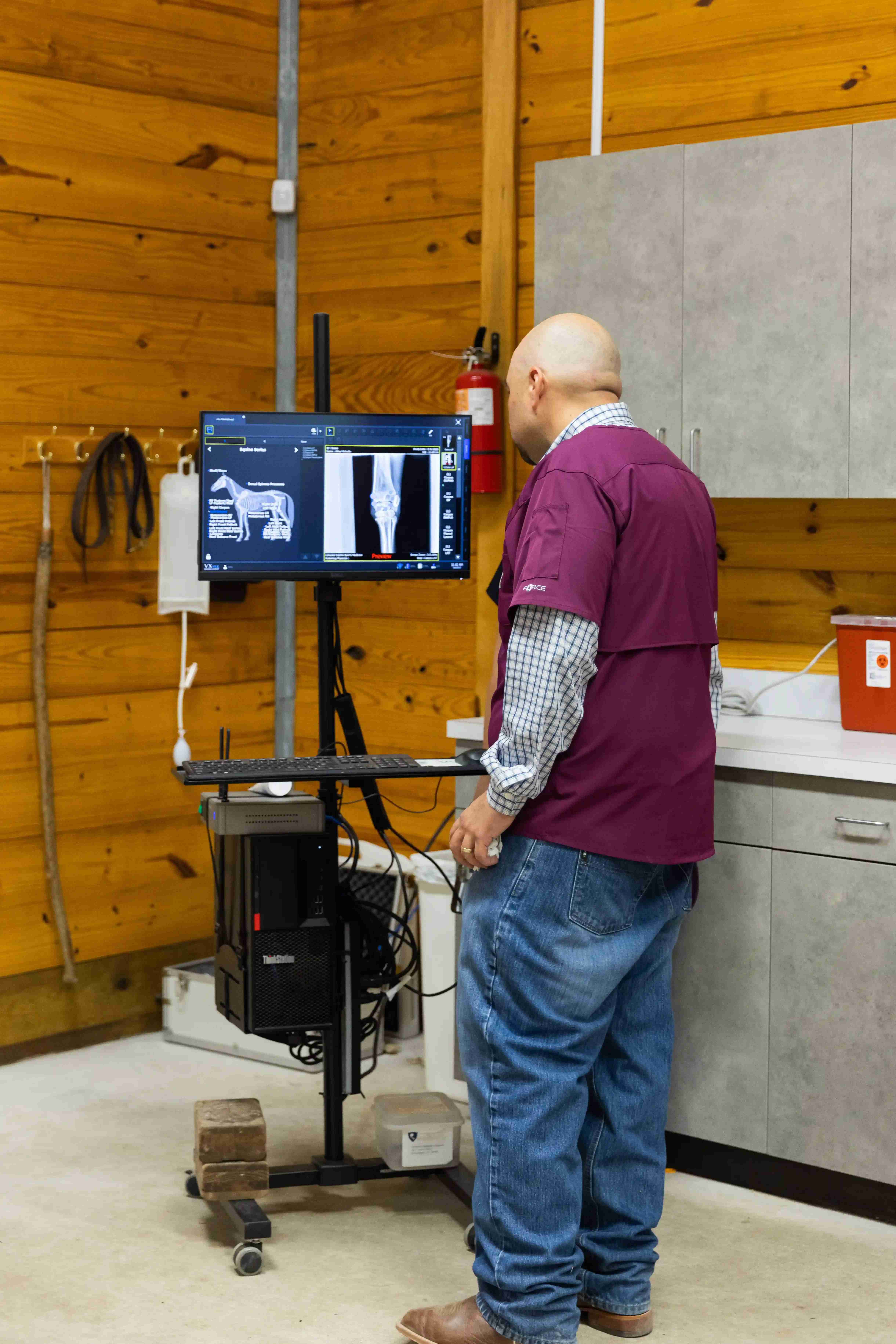 Image from Action Photos album