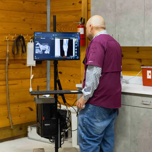 Dr. Alvarez reviewing X-ray images