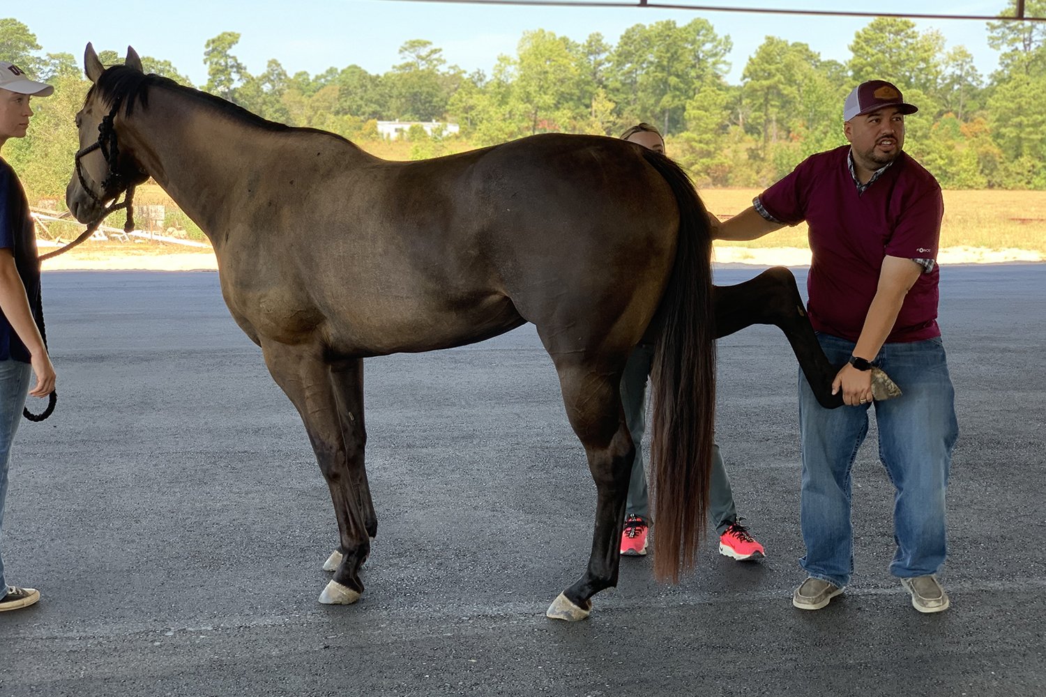 Image from Action Photos album