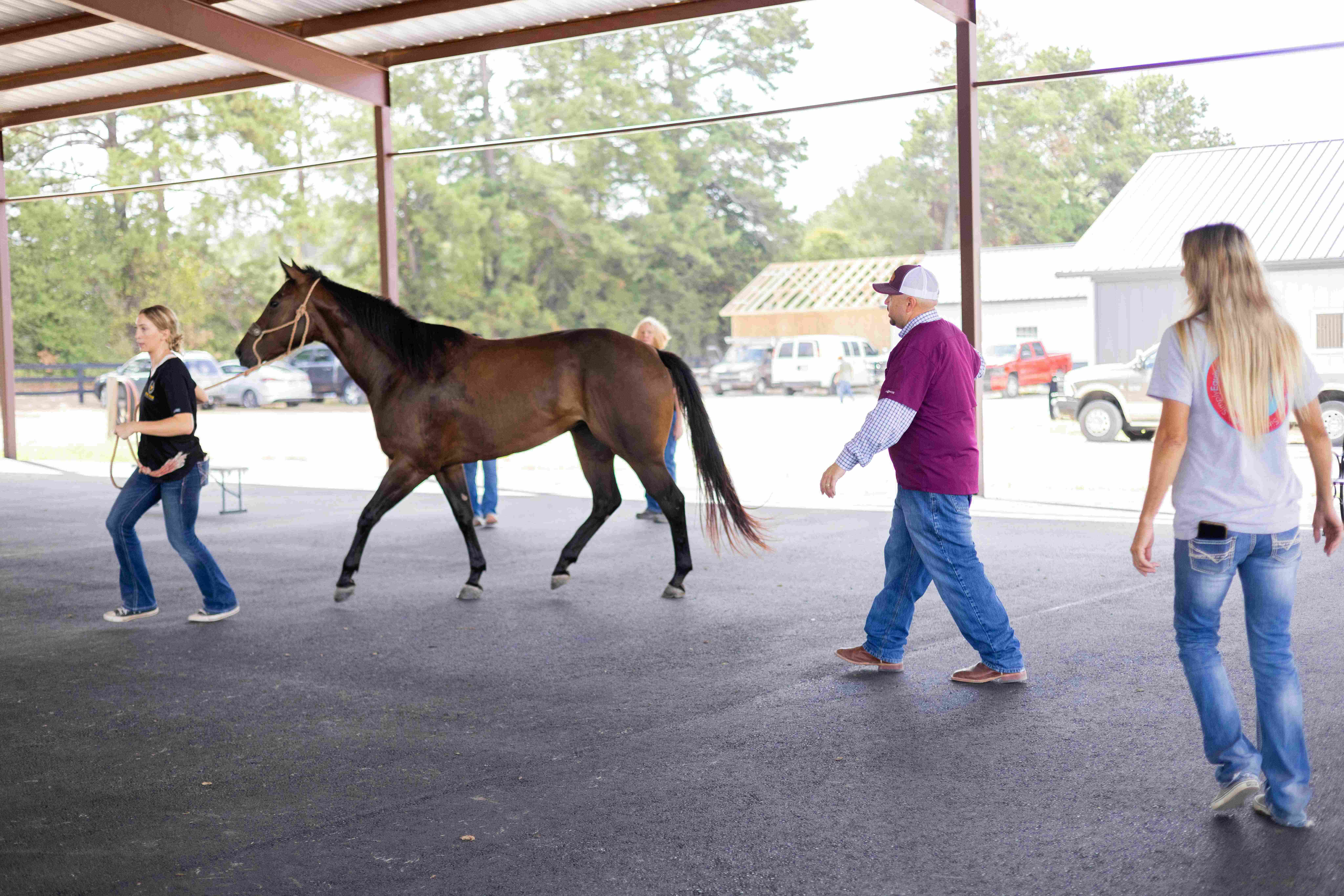 Image from Facility Photos album