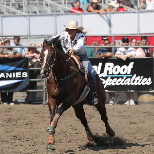 Equine sports medicine evaluation